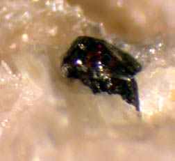 Ellenbergerite  - Martiniana Po, Cuneo, Italy