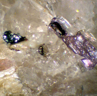 Ellenbergerite  - Martiniana Po, Cuneo, Italy