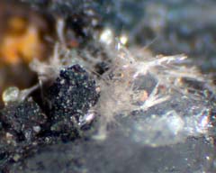 Klebelsbergite - Pereta mine, Grosseto, Tuscany, Italy