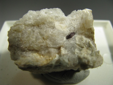 Zircon - Cozzago, Ossola Valley, Italy