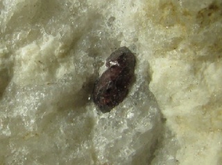 Zircon  - Cozzago, Ossola Valley, Italy