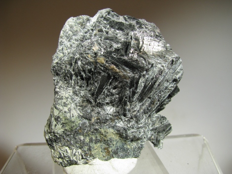 Ludwigite - Brosso mine , Ivrea, Piedmont, Italy