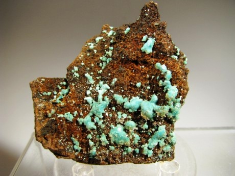 Rosasite - Ojuela Mine, Mapimí, Mun. de Mapimí, Durango, Mexico