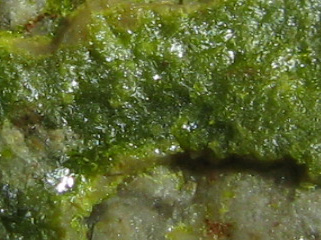Emmonsite, Rodalquilarite  -  Tombstone, Tombstone District, Cochise Co., Arizona, USA