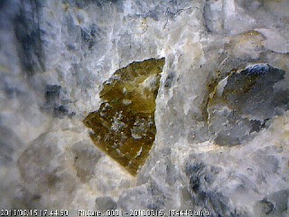 Monazite (Ce) -  Costiere del Proman, Cuzzago, Verbano-Cusio-Ossola, Piemonte, Italia