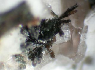 Allanite (Ce)- Montecatini Quarry, Baveno, Verbania, Italy
