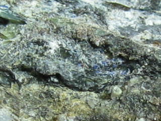 Callaghanite -  Mt. Ramazzo mine, Borzoli, Genova, Genova Province, Liguria, Italy