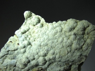 Lizardite  - S. Agostino, Trebbia Valley, Italy