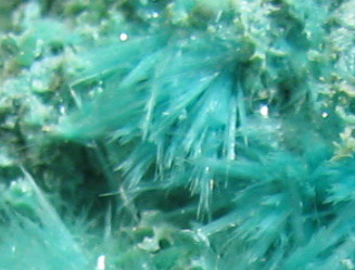 Aurichalcite  -  Southwest Mine, Bisbee, Warren District, Mule Mts, Cochise Co., Arizona, USA