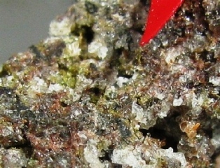 Orthopyroxene   - Ettringen, Mayen, Eifel, Rhineland-Palatinate, Germany