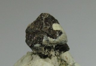 Hauerite  - Destricella mine, Raddusa, Catania, Sicily, Italy