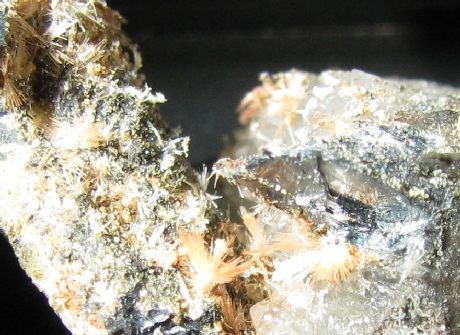 Heulandite-Sr   -  Campegli, Castiglione Chiavarese, Genova Province, Liguria, Italy