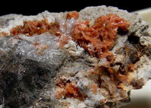 Piroxmangite - Molinello mine Val Graveglia Italy