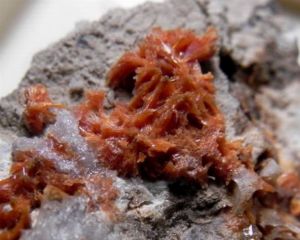 Piroxmangite - Molinello mine Val Graveglia Italy