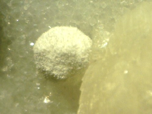 Stronzianite -Fantiscritti quarry, Carrara, I