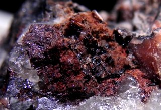 Gamagarite - Cerchiara Borghetto Vara Italy