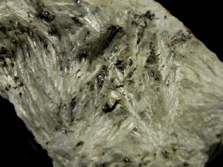 Tremolite - Montorsi mine Campiglia Tuscany I