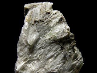 Tremolite - Montorsi mine Campiglia Tuscany I