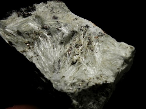 Tremolite - Montorsi mine Campiglia Tuscany I