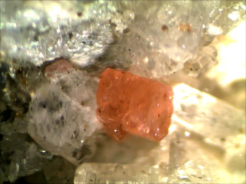 Monazite - San Lorenzo Val Stura Cuneo  Italy