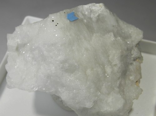 Colusite  - Fantiscritti Carrara Italy