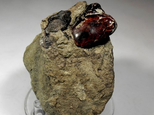 Amber  - Castelvecchio, Prignano sulla Secchia I