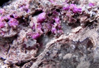 Sugilite - Cerchiara  Mine La Spezia Italy