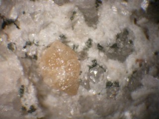 Monazite  (CE)   -  Mount Cervandone, Baceno, Devero Alp, Ossola Valley, Verbano-Cusio-Ossola Province, Piedmont, Italy