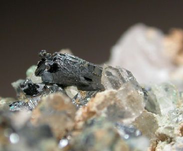 Chalcocite  - Gambatesa mine,   Graveglia  Valley,  Genova, Italy