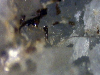ZEMANNITE - Moctezuma Mine, Moctezuma, Mun. de Moctezuma, Sonora, Mexico