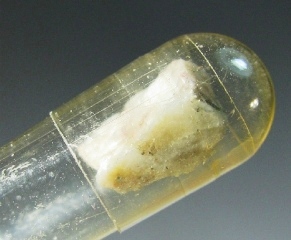 Caracolite - Challacollo, Iquique Province, Tarapacá Region, Chile