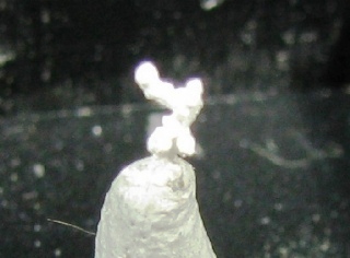 Goslarite - Plombières, Verviers, Liège Province, Belgium