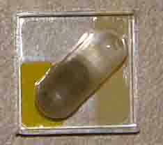 Schneiderhöhnite - Tsumeb Mine, Tsumeb, Otjikoto (Oshikoto) Region, Namibia