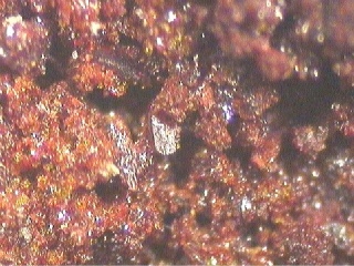 CARMINITE - Animas Mine, La Mur, Mun. de Trincheras, Sonora, Mexico