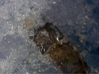 FLUOROELLESTADITE - Crestmore quarries, Crestmore, Riverside Co., California, USA