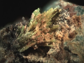 HEINRICHITE - Wittichen, Schenkenzell, Black Forest, Baden-Württemberg, Germany