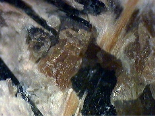 SITINAKITE - Kirovskii apatite mine, Kukisvumchorr Mt, Khibiny Massif, Kola Peninsula, Murmanskaja Oblast', Russia