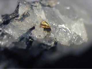 Gold - Alfenza Mine, Crodo, Ossola Valley, Verbano-Cusio-Ossola Province, Piedmont, Italy