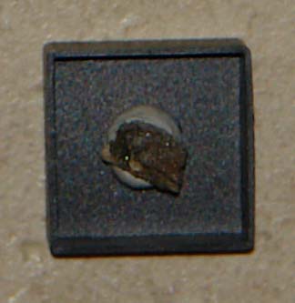LOLLINGITE - Cruvin mine, Bruzolo, Susa Valley, Piedmont, Italy