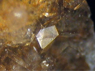 FLUELLITE - Tom's Phosphate quarry, Kapunda, North Mt Lofty Ranges, Mt Lofty Ranges, South Australia, Australia