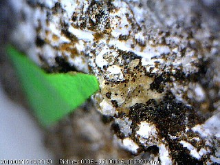 Mckelveyite-(Y) -  Poudrette quarry, Mont Saint-Hilaire, Montérégie, Québec, Canada