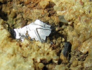 Allanite-Ce  -  Campiglia Marittima, Livorno, Tuscany, Italy