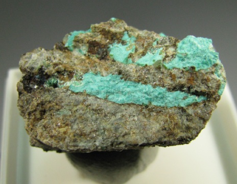 Ajoite - Mammouth Mine, Pinal County, Arizona, USA