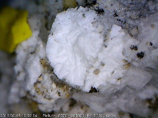 Gobbinsite, Gmelinite -  Poudrette quarry, Mont Saint-Hilaire, Montérégie, Québec, Canada