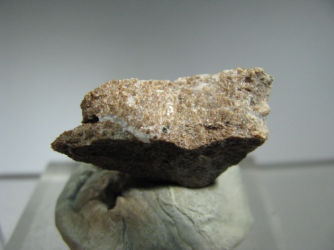 Schefferite - Praborna Mine, Aosta Valley, Italy