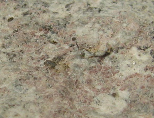 Cerite (CE) -  Montoso Quarries, Ortieul, Infernotto Valley, Bagnolo Piemonte, Cuneo Province, Piedmont, Italy