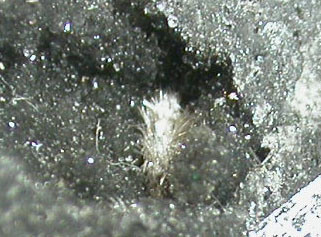 Onoratoite  -  Le Cetine di Cotorniano Mine, Chiusdino, Siena Province, Tuscany, Italy
