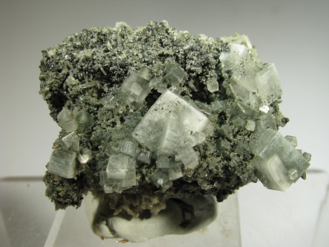 Apophyllite (KOH) - Centreville, Culpeper Basin, Fairfax Co., Virginia, USA
