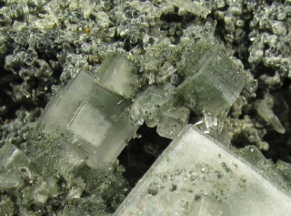 Apophyllite (KOH) - Centreville, Culpeper Basin, Fairfax Co., Virginia, USA