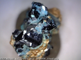 Chalcocite  -  Gambatesa mine,  Graveglia Valley,  Gnova, Italy